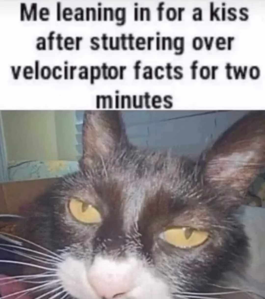 A close-up photo of a black and white cat with intense yellow eyes looking directly at the camera, overlaid with the text…