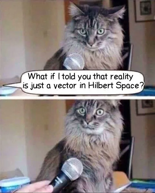A long-haired cat sits in front of a microphone, looking intensely at the camera. In the top panel, the cat appears calm. In…