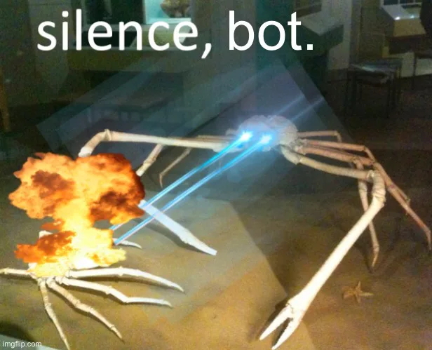 Bots and Questions: The Digital Dilemma
