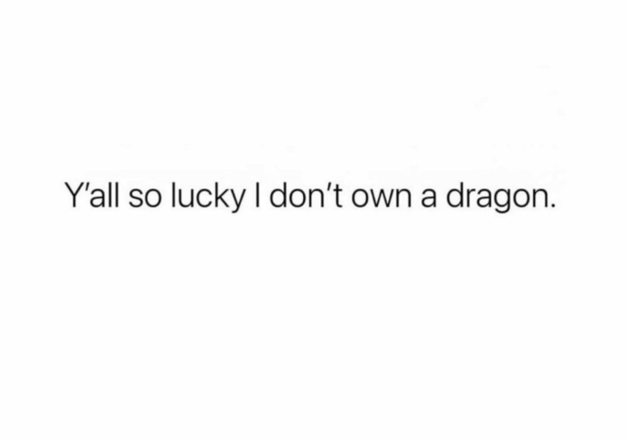 A plain white background with centered black text reading 'Y'all so lucky I don't own a dragon.' The image contains no other…