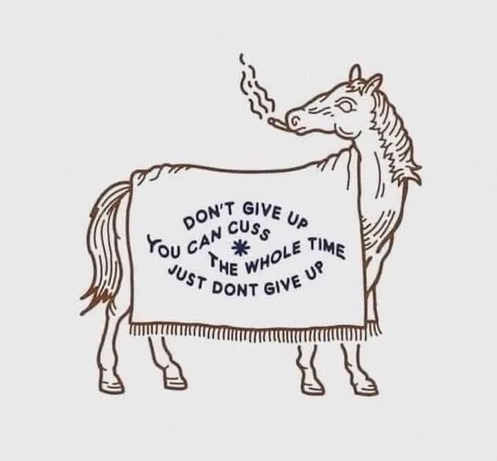 A hand-drawn illustration of a horse wearing a large, fringed blanket that reads 'DON'T GIVE UP YOU CAN CUSS THE WHOLE TIME…