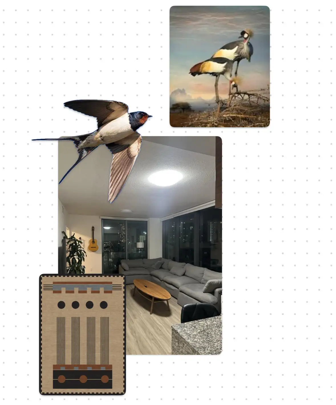 A collage of four images: a flying swallow, a crowned crane standing on a branch, a modern living room with a sectional sofa…