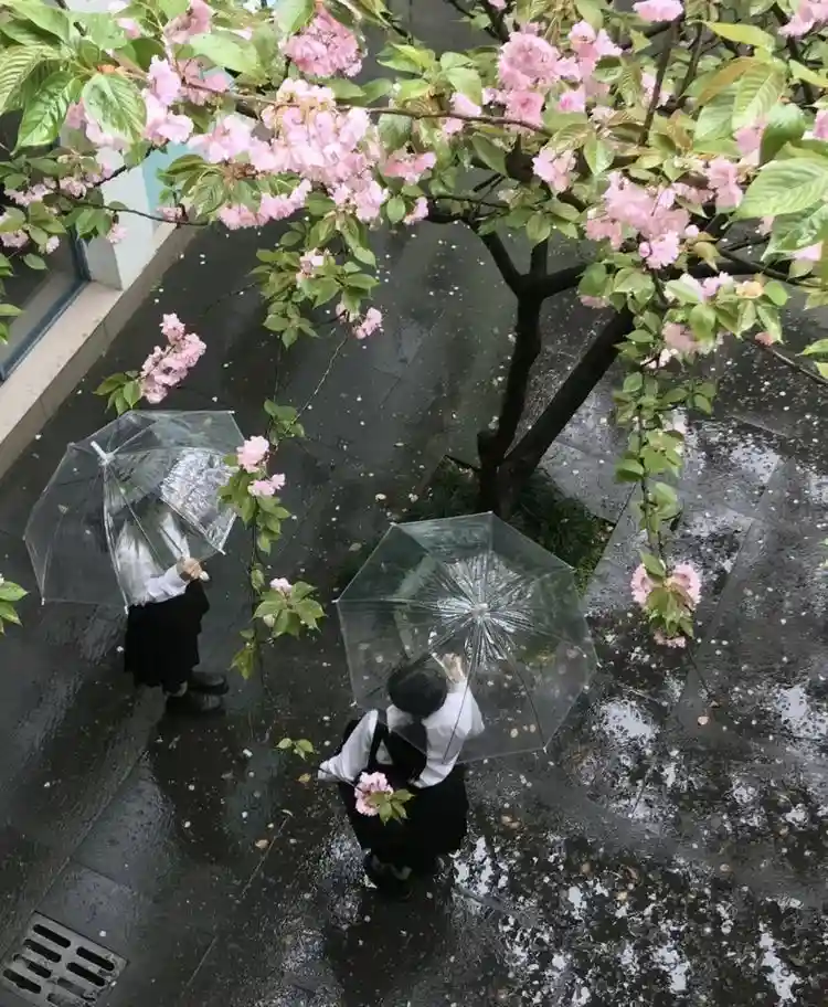 Exploring the Wonders of Japan
