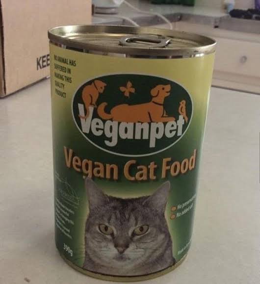 A can of 'Veganpet Vegan Cat Food' is shown, featuring a large photo of a grey tabby cat with a serious expression. The…
