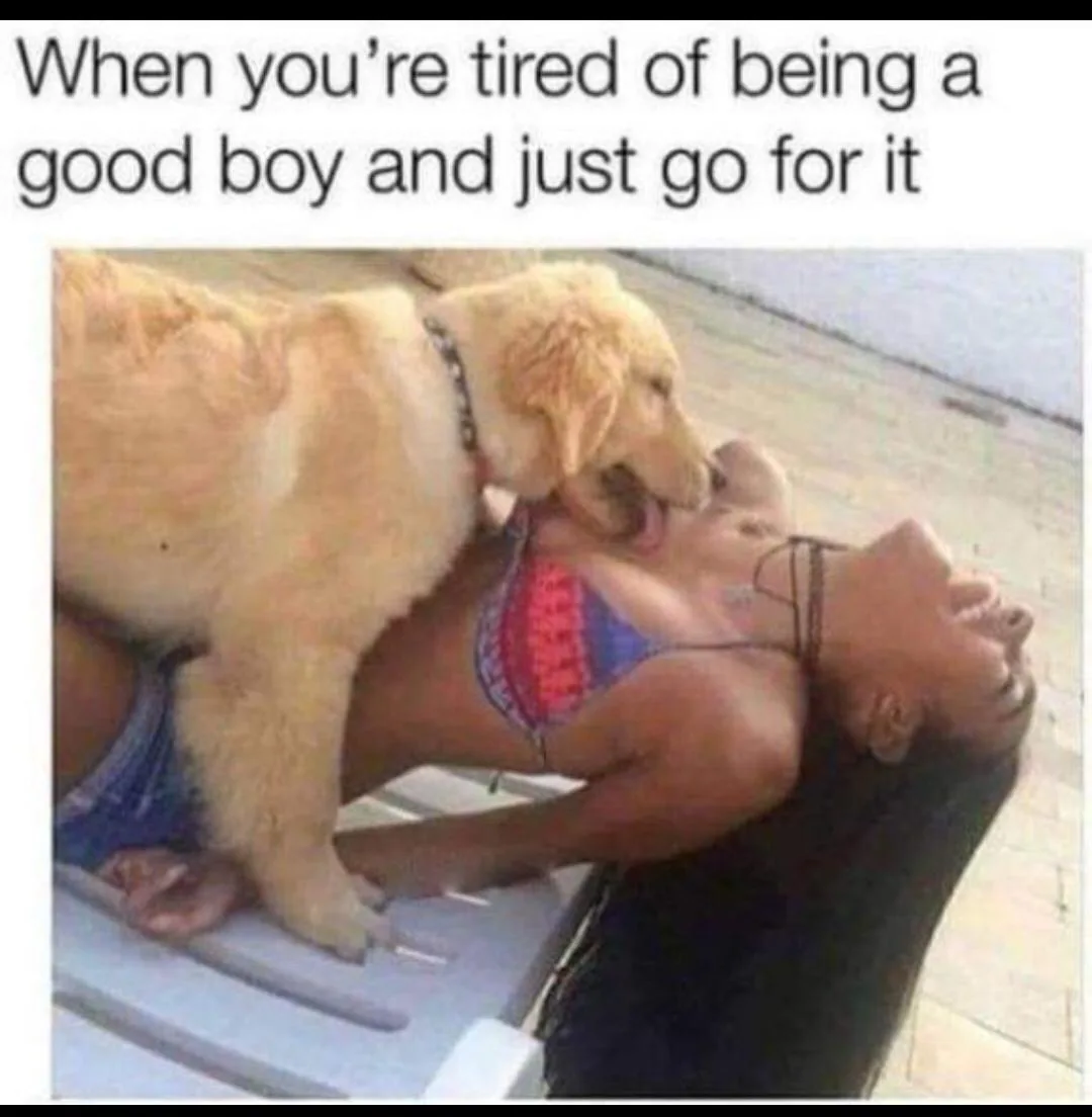 A golden retriever is standing on a person lying on a lounge chair, enthusiastically licking their face. The person is…