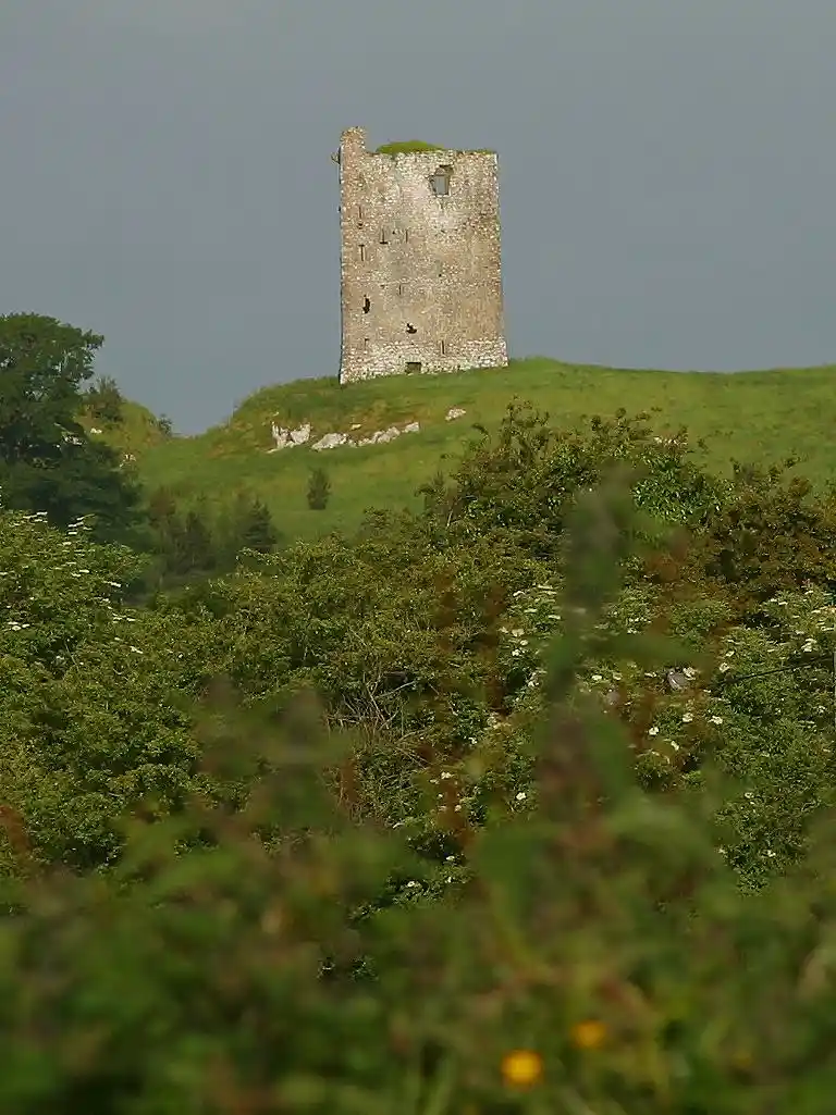 SCP-1211: The Mysterious 'King in the Castle'