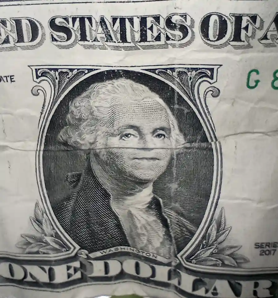 Just a Simple Dollar with a Distinctive Crease