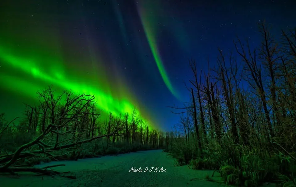 A stunning night photograph of the aurora borealis, with vibrant green curtains dancing across a starry sky above a snowy…