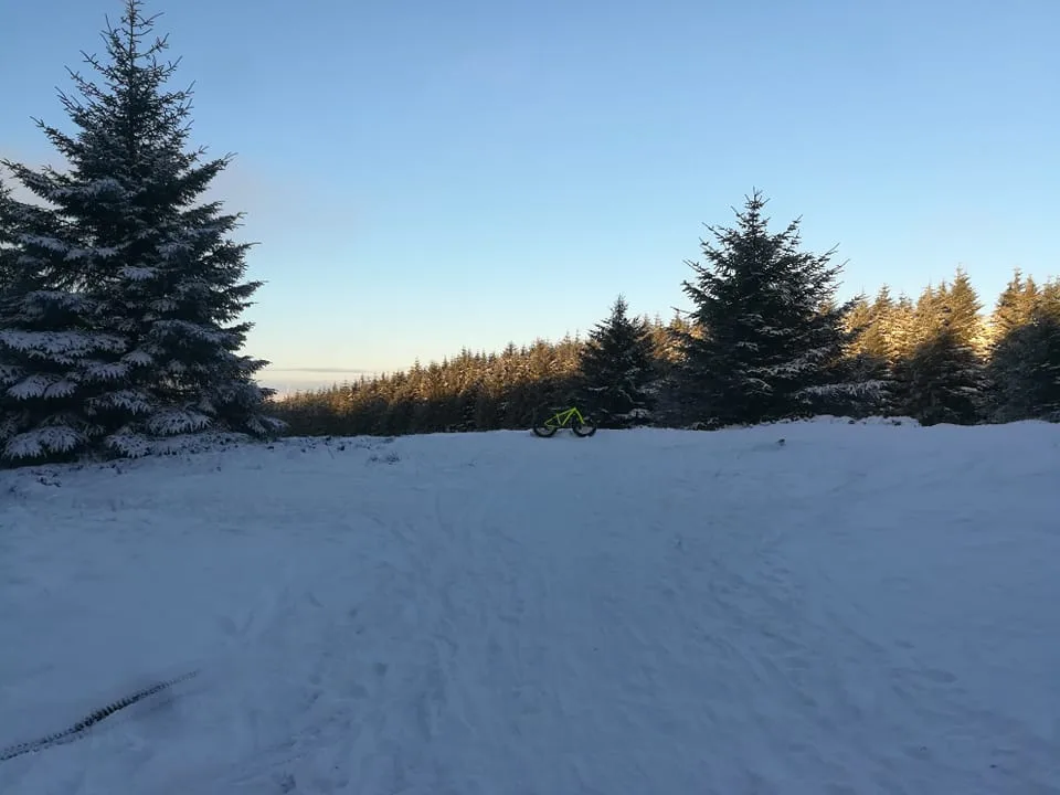 Embracing Winter: Let It Snow!