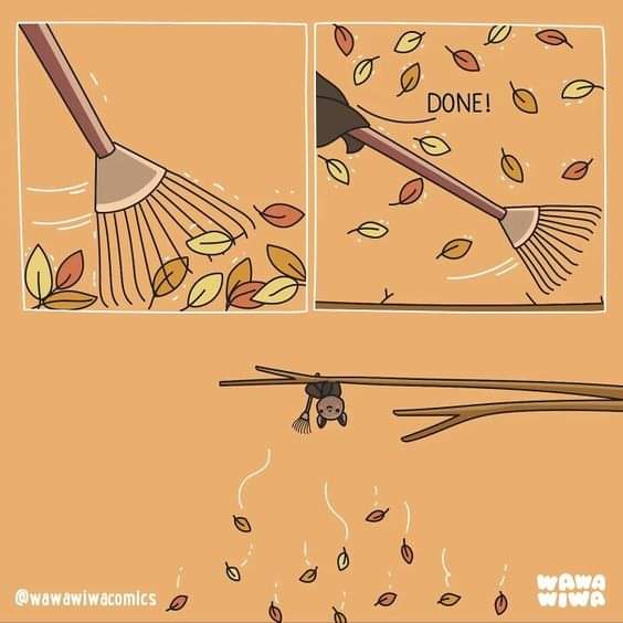 A two-panel comic shows a rake sweeping autumn leaves into a pile, with the word 'DONE!' above it. Below, a bat hangs upside…