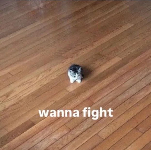 A tiny gray and white kitten sits alone on a light brown wooden floor, looking directly at the camera with a defiant…