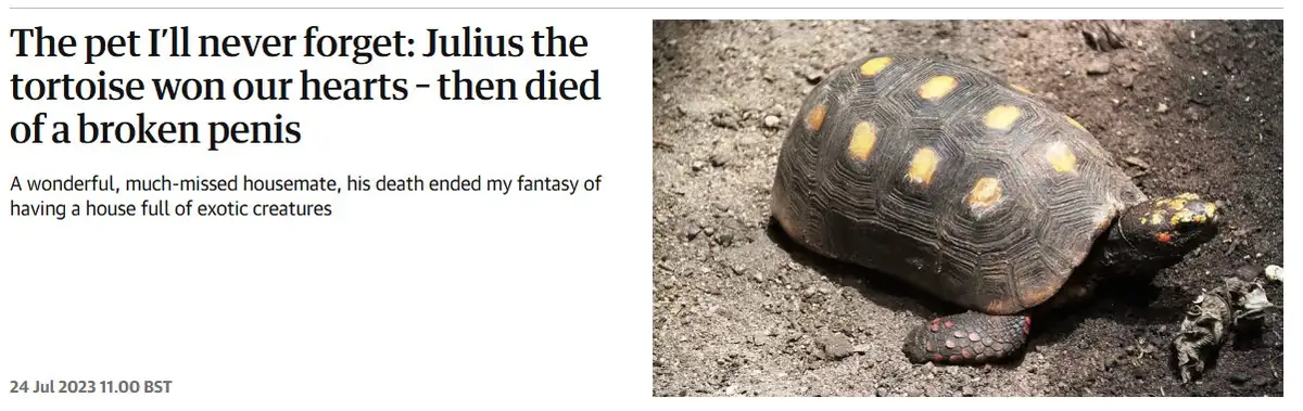 A photograph of a red-footed tortoise on dirt, overlaid with the text 'The pet I'll never forget: Julius the tortoise won…