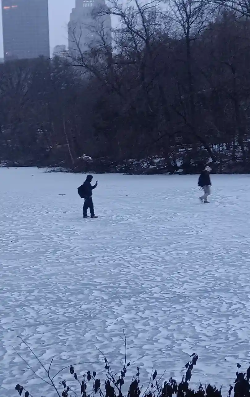Two people stand on a frozen lake in a city park, one person is holding a phone while the other walks away. The background…