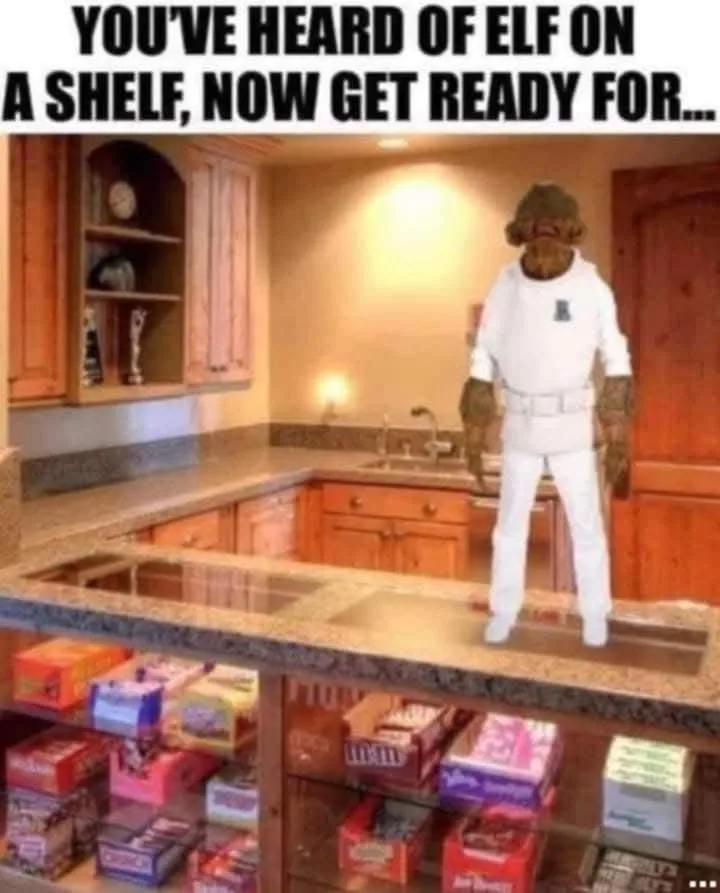 A person in a full-body Chewbacca costume stands on a kitchen counter, facing the viewer. Below the counter, shelves are…