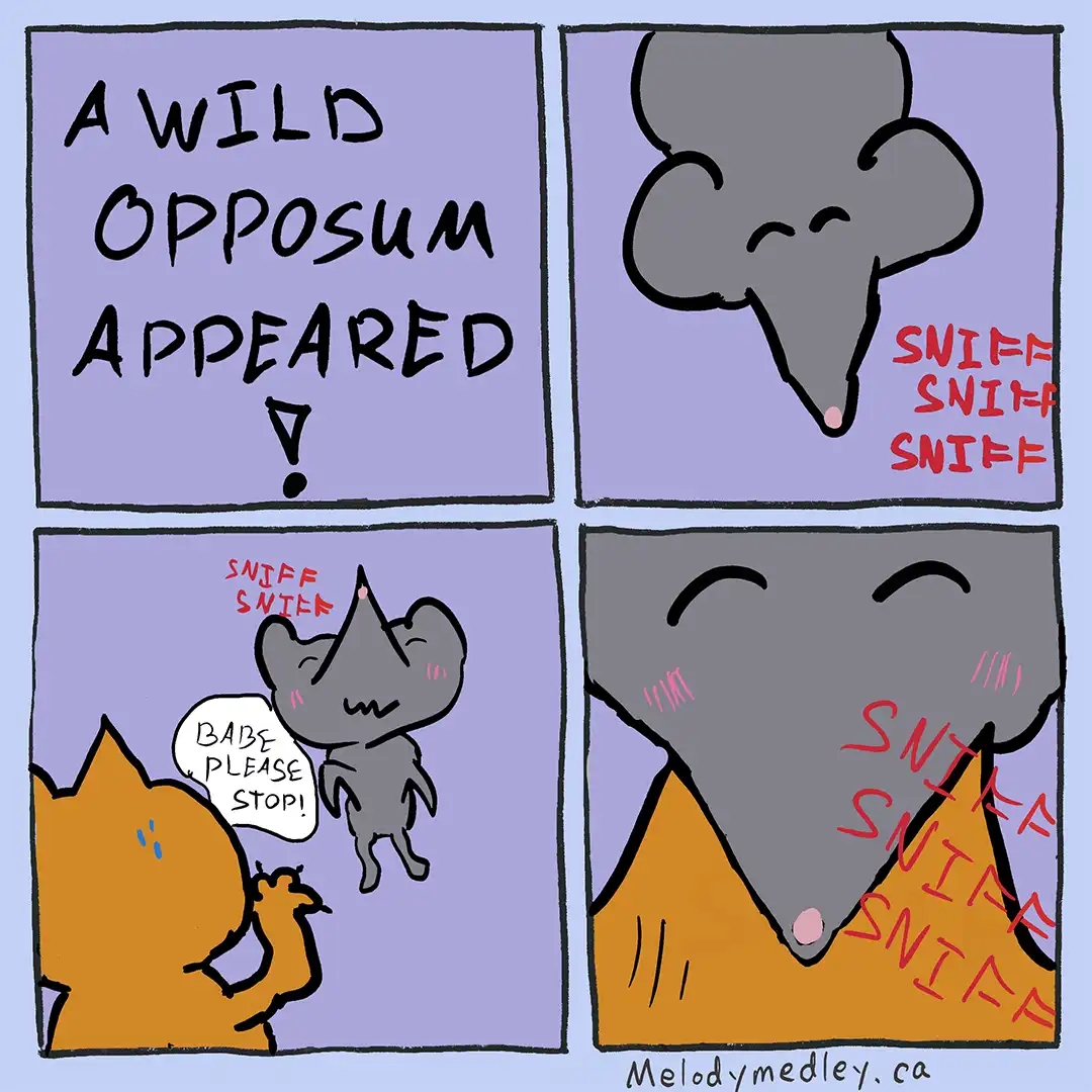 A four-panel comic strip shows a cartoon opposum appearing and sniffing intensely, ignoring a cat's plea to stop. The first…