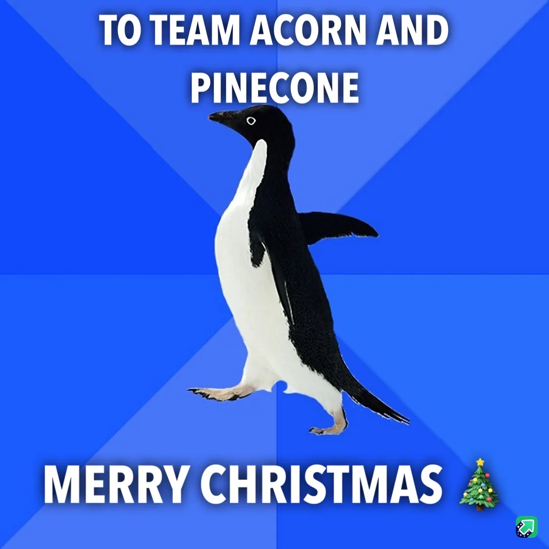A penguin stands against a blue geometric background with white text reading 'TO TEAM ACORN AND PINECONE' at the top and…