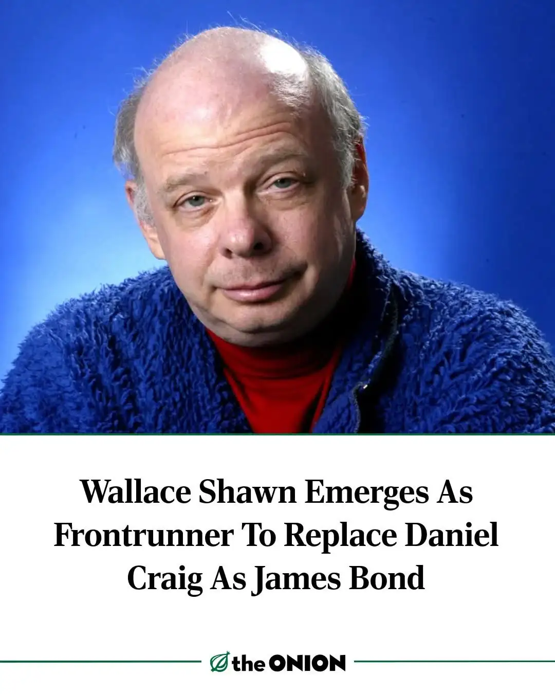 A headshot of actor Wallace Shawn, who has a balding head and is wearing a blue fuzzy jacket over a red turtleneck against a…