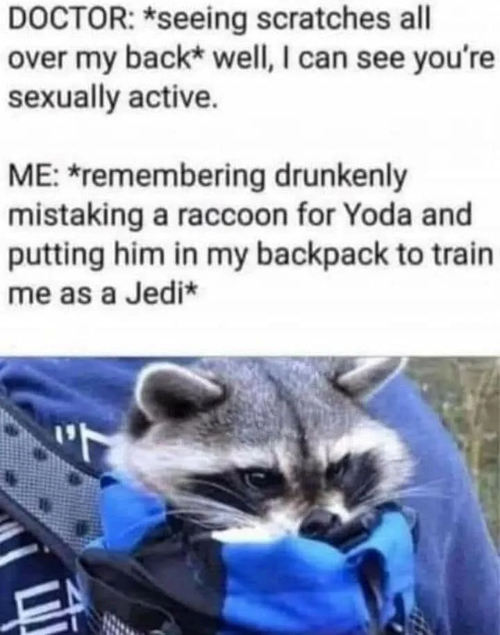 A raccoon is shown peeking out from inside a blue backpack, looking slightly annoyed or confused. The image is overlaid with…
