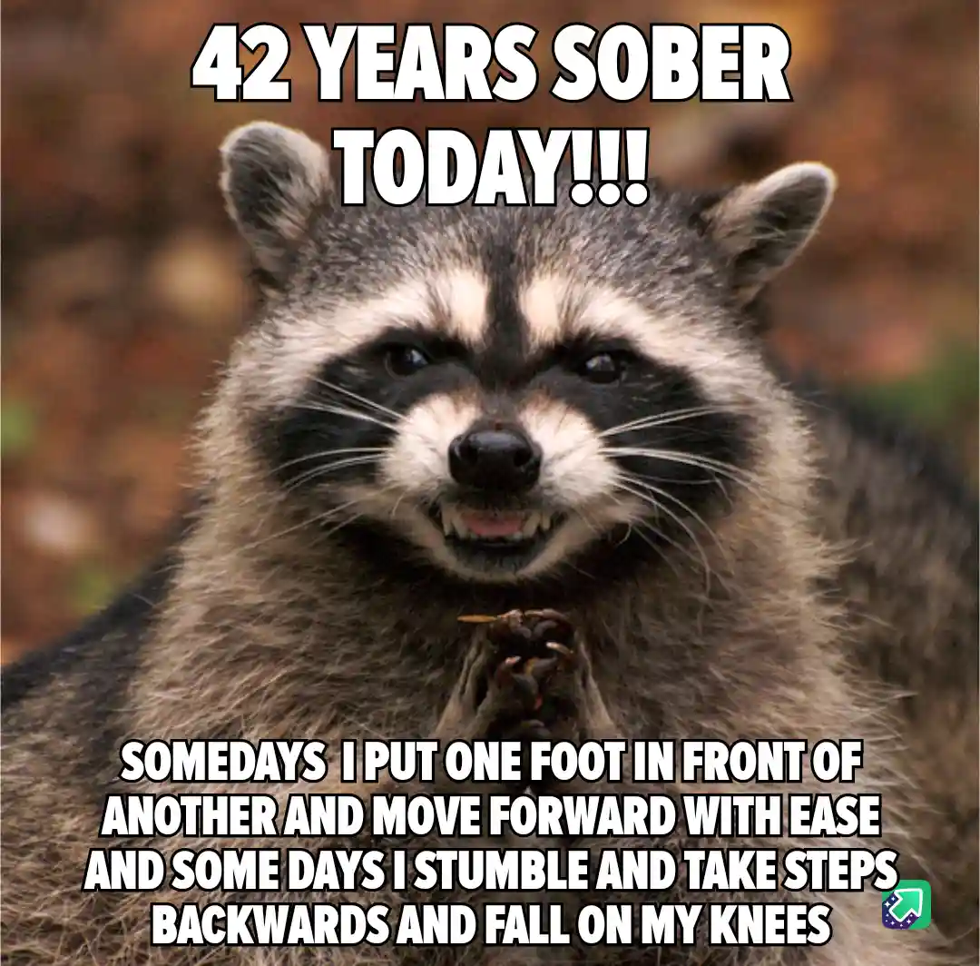 A close-up photo of a raccoon with a smug, self-satisfied expression, its paws clasped together as if in prayer or…