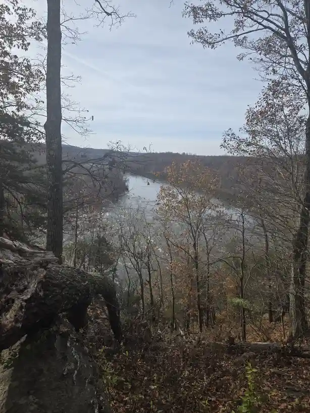 A scenic overlook of a river winding through a forest with bare and autumn-colored trees under a pale sky. A large, mossy…