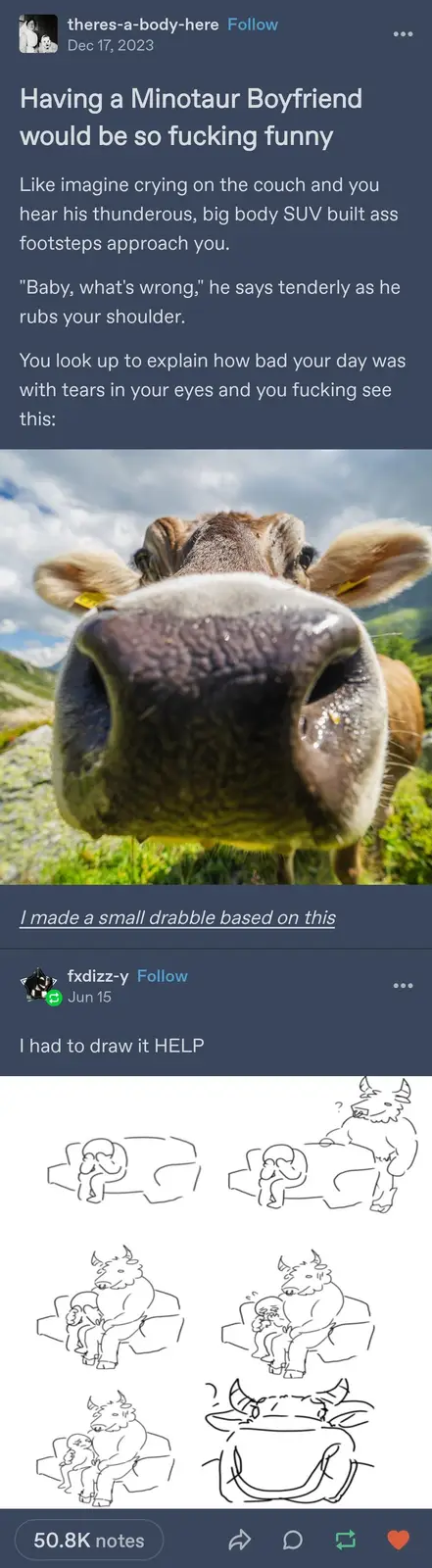 The image shows a close-up photo of a cow's face, with its large, wet nose dominating the frame and its ears visible. The…