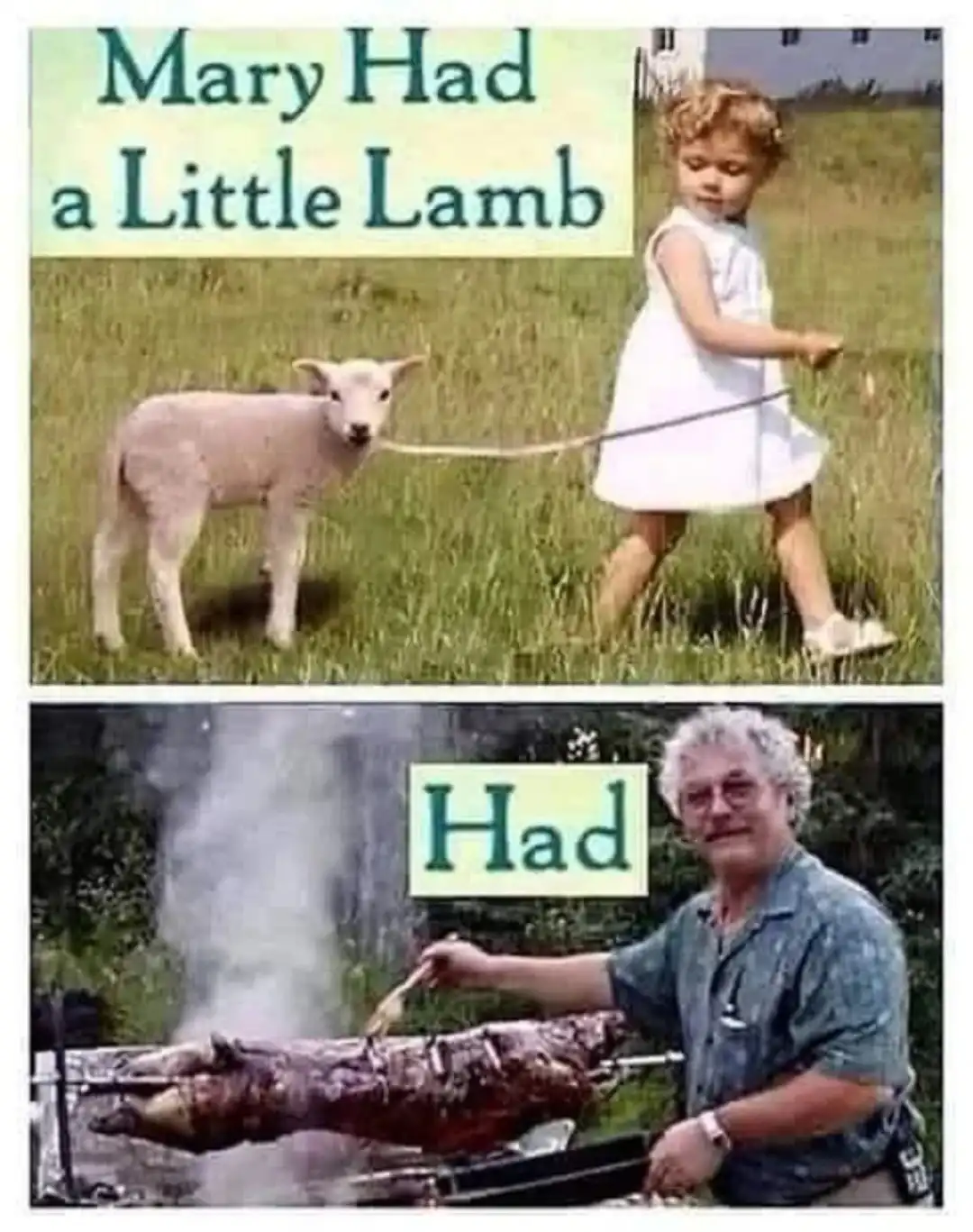 The top panel shows a young girl in a white dress walking a small lamb on a leash in a grassy field, with the text 'Mary Had…