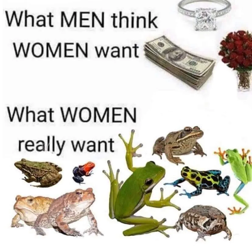 Dumping Over 20 GB of Saved Memes: Part 2
