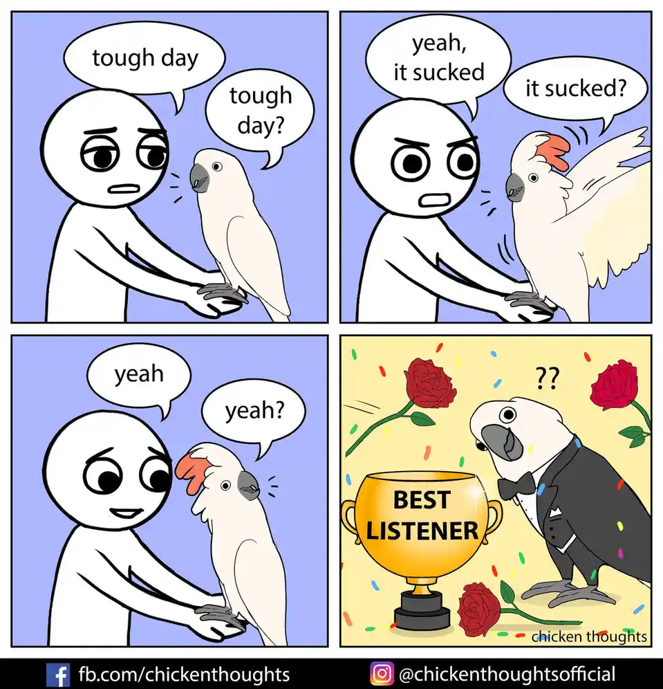A four-panel comic shows a person talking to a white cockatoo. The person asks if it was a tough day, and the bird replies…