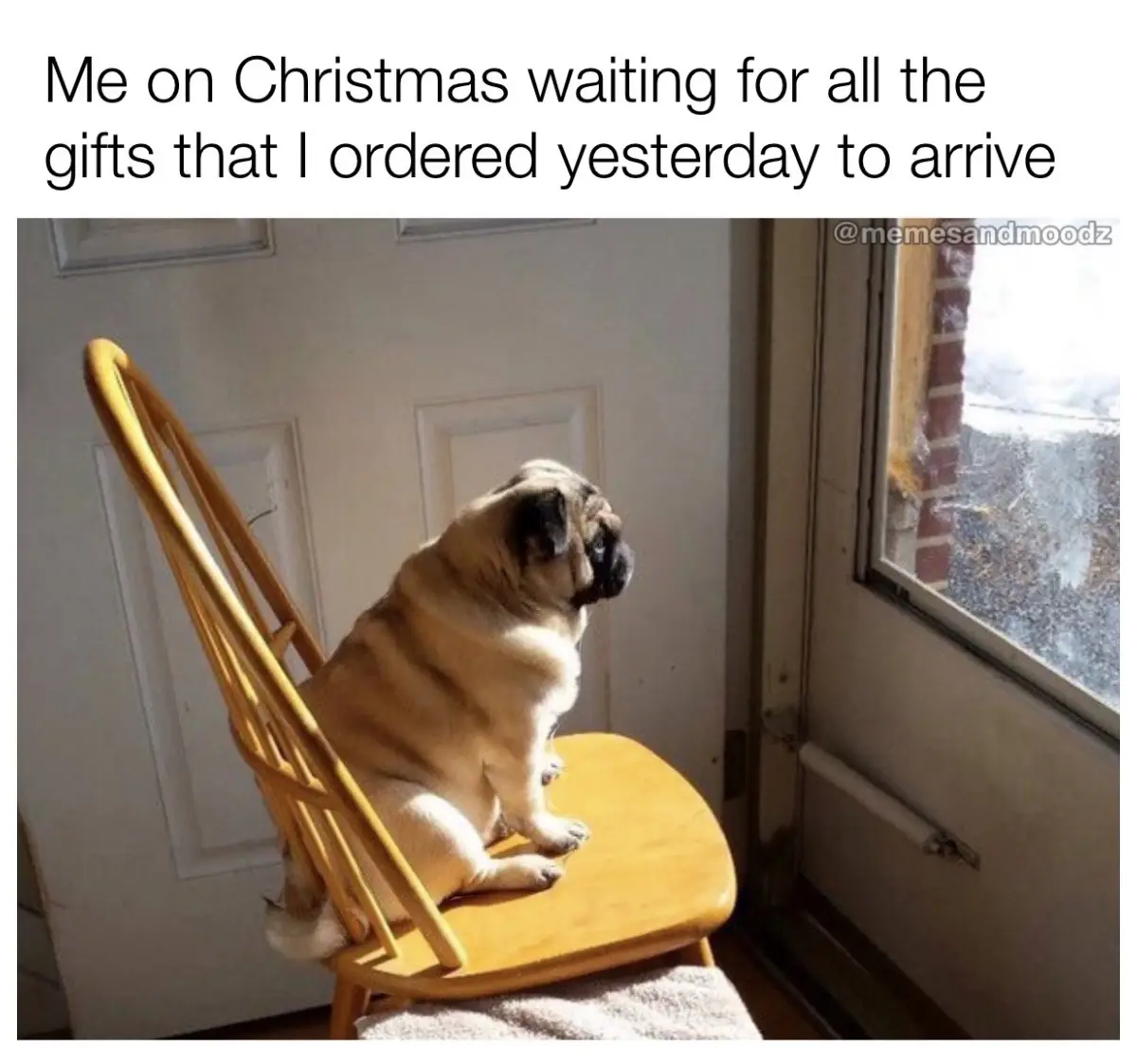 A pug dog sits patiently on a wooden chair, looking out a window, as if waiting for something. The overlaid text reads 'Me…
