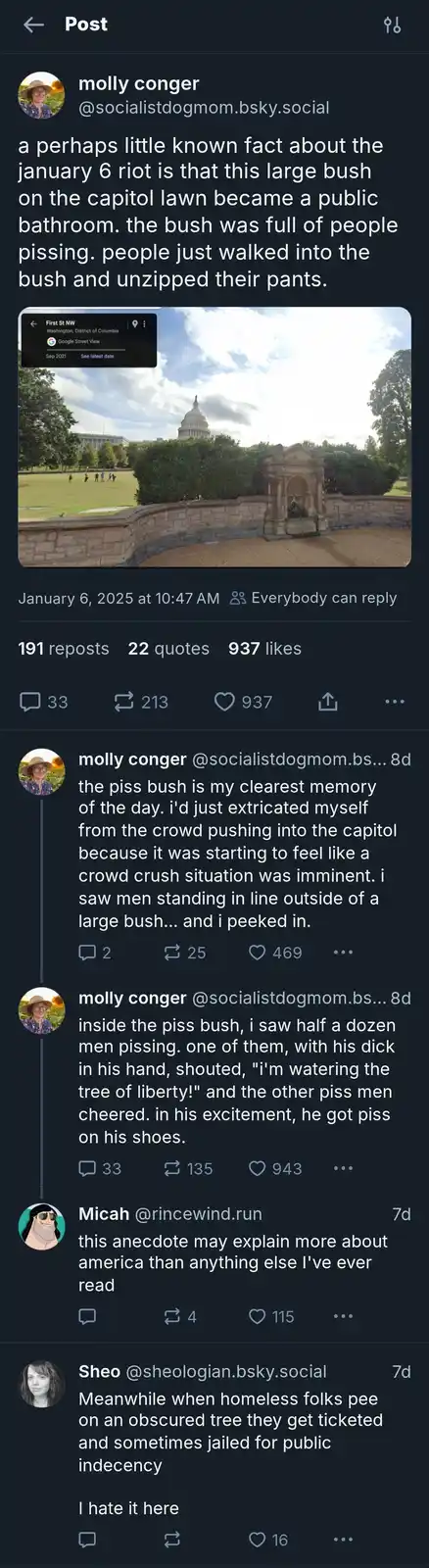 The image shows a Google Street View photo of a large, manicured bush on the Capitol lawn in Washington D.C., with the U.S…