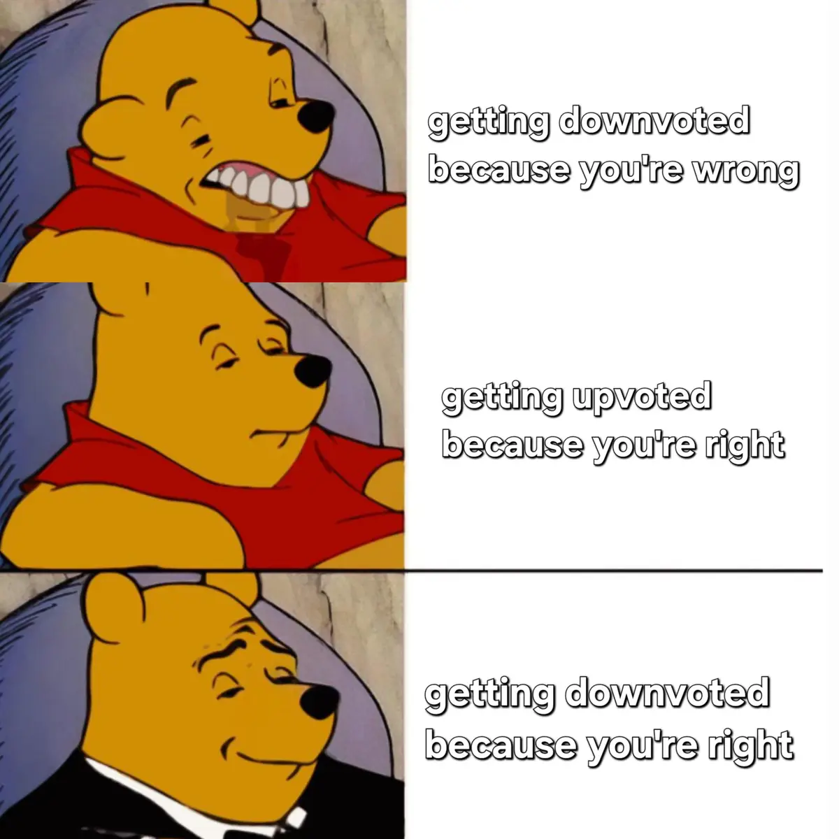 The image shows three panels of Winnie the Pooh in different expressions: top panel shows him angrily gritting his teeth…