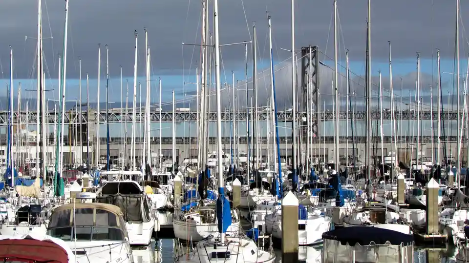 A marina filled with numerous sailboats and yachts docked closely together, their tall masts creating a dense forest-like…