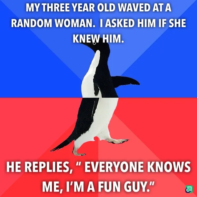 A penguin walks across a split blue and red background, with white text overlaid in two sections. The top text reads 'MY…