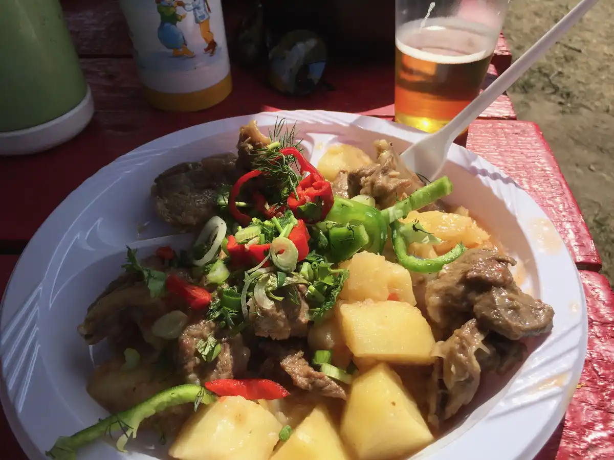 A close-up photo shows a white paper plate filled with a hearty meal of stewed meat, cubed potatoes, and garnished with…