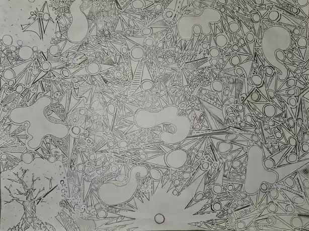 A black-and-white pencil drawing filled with dense, intricate, overlapping geometric patterns, including stars, circles…