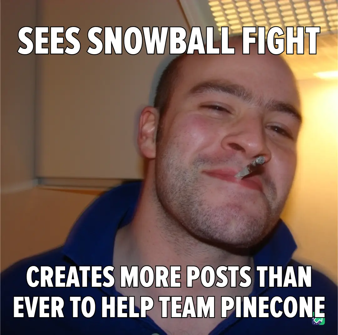 My Contribution to the Pinecone Collection