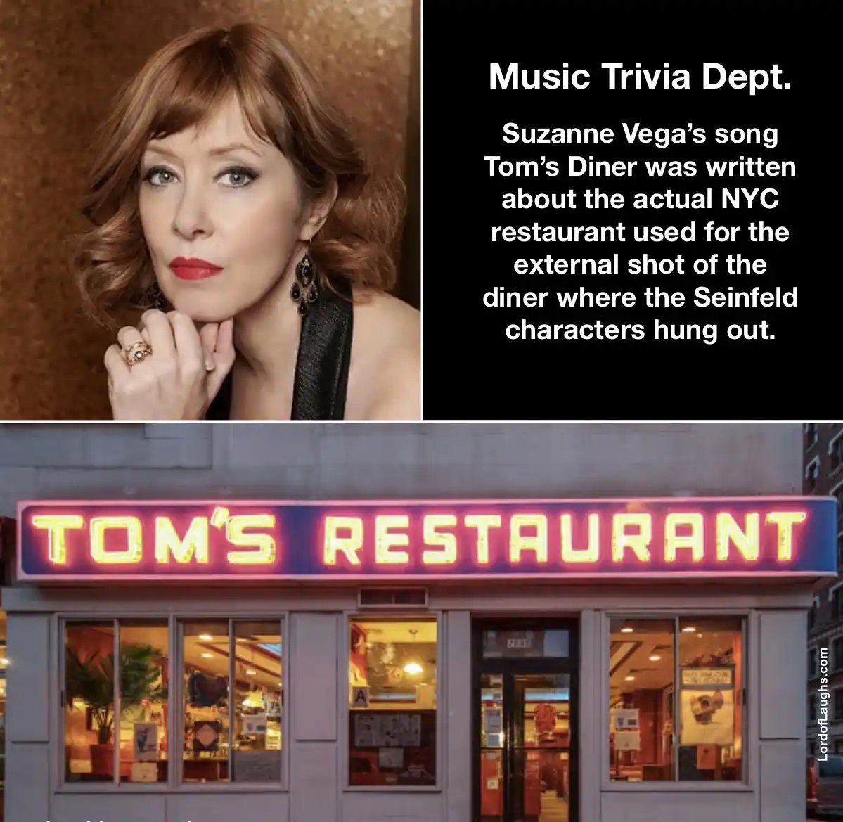 The image is split: top left shows a portrait of Suzanne Vega, and top right has white text on black background stating…