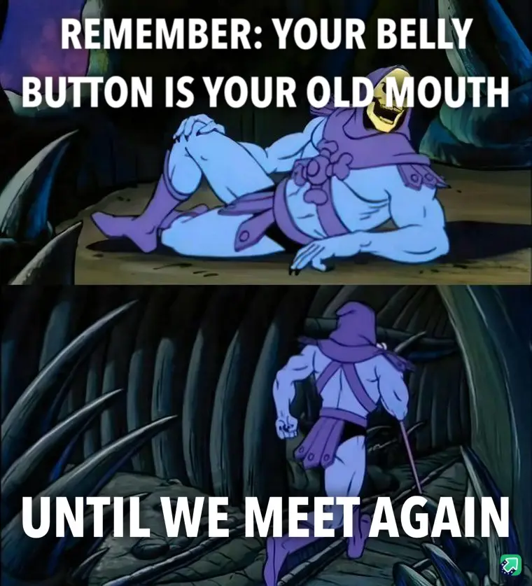 The image is split into two panels featuring the animated character Skeletor from 'He-Man and the Masters of the Universe'…