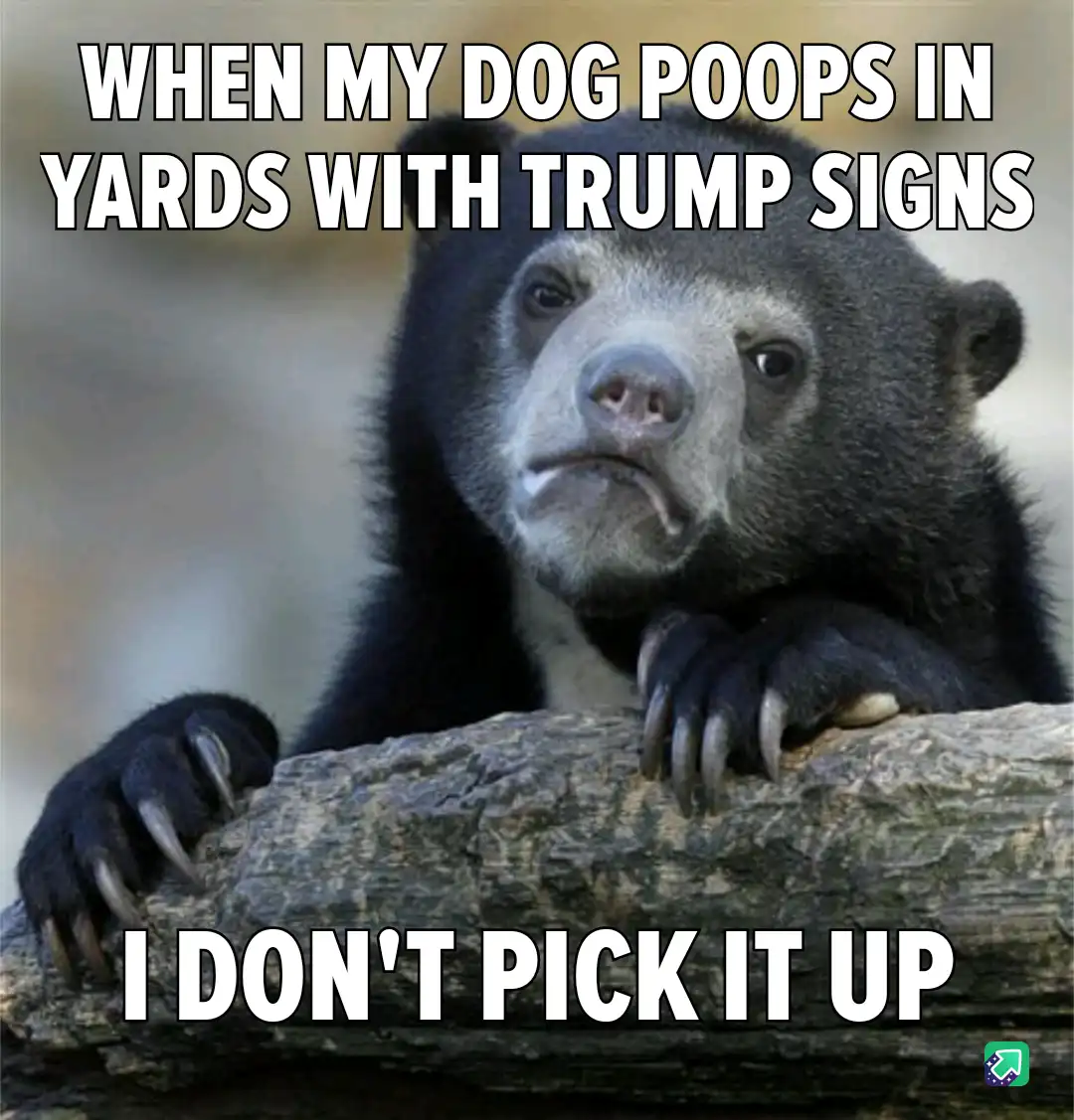 A close-up image of a sloth bear with a resigned, unimpressed expression, resting its paws on a log. The overlaid text reads…