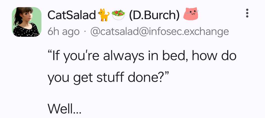 A screenshot of a social media post by 'CatSalad' showing a question: 'If you're always in bed, how do you get stuff done?'…