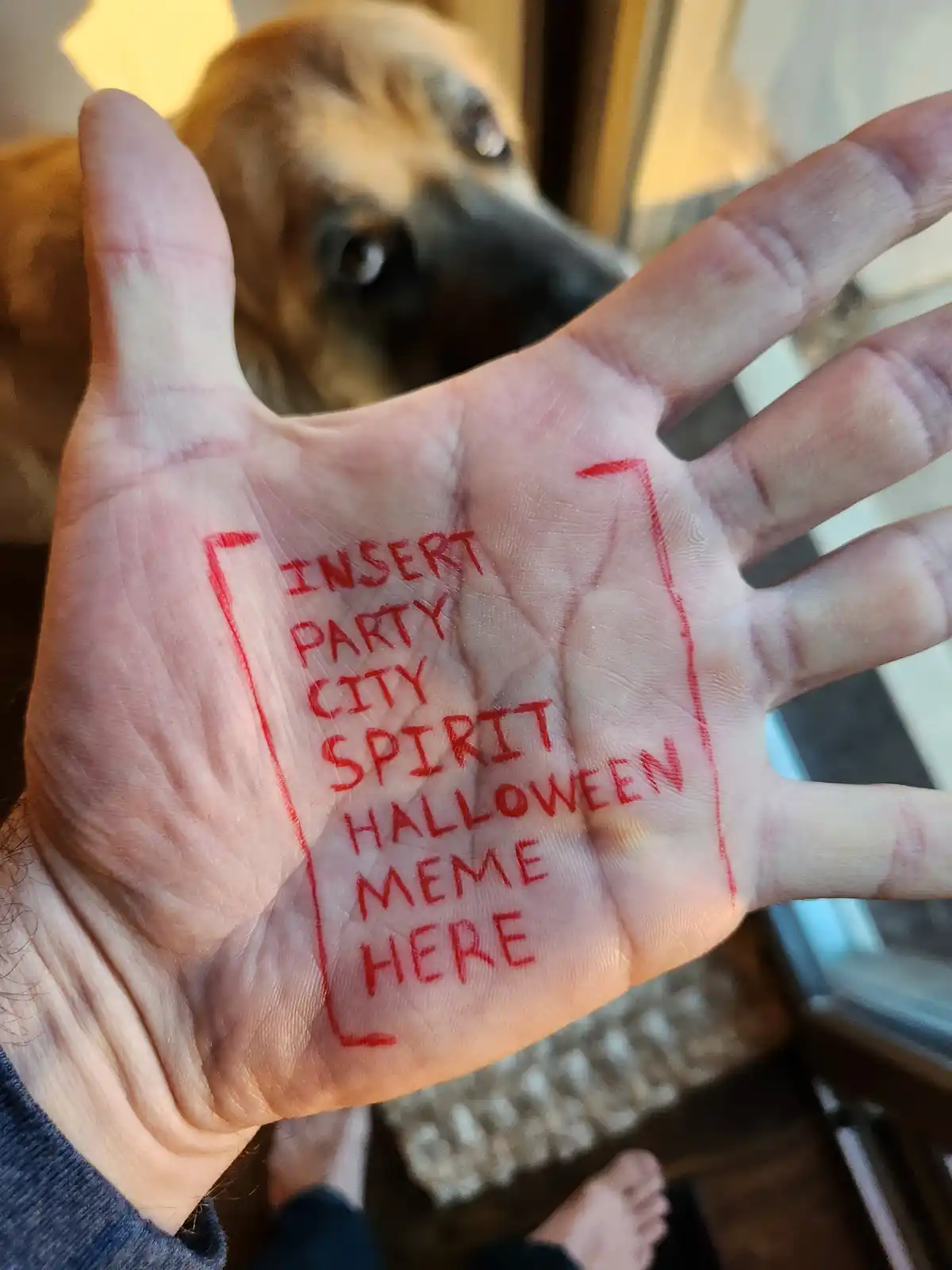 A person holds up their open palm, which has red marker text reading 'INSERT PARTY CITY SPIRIT HALLOWEEN MEME HERE' inside a…