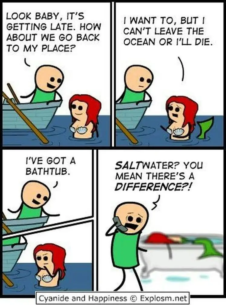 A four-panel comic strip shows a man in a boat asking a mermaid to go to his place. She refuses, saying she'll die if she…