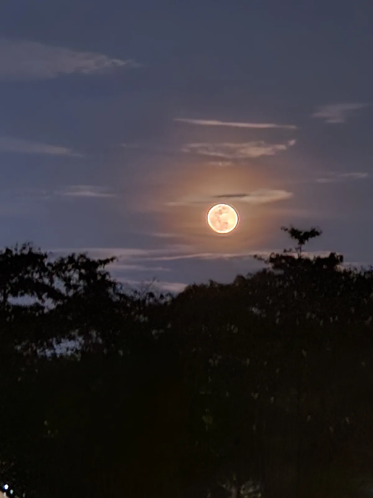 A photo of a bright, full moon rising above a dark treeline against a twilight sky with scattered clouds. The overlaid text…