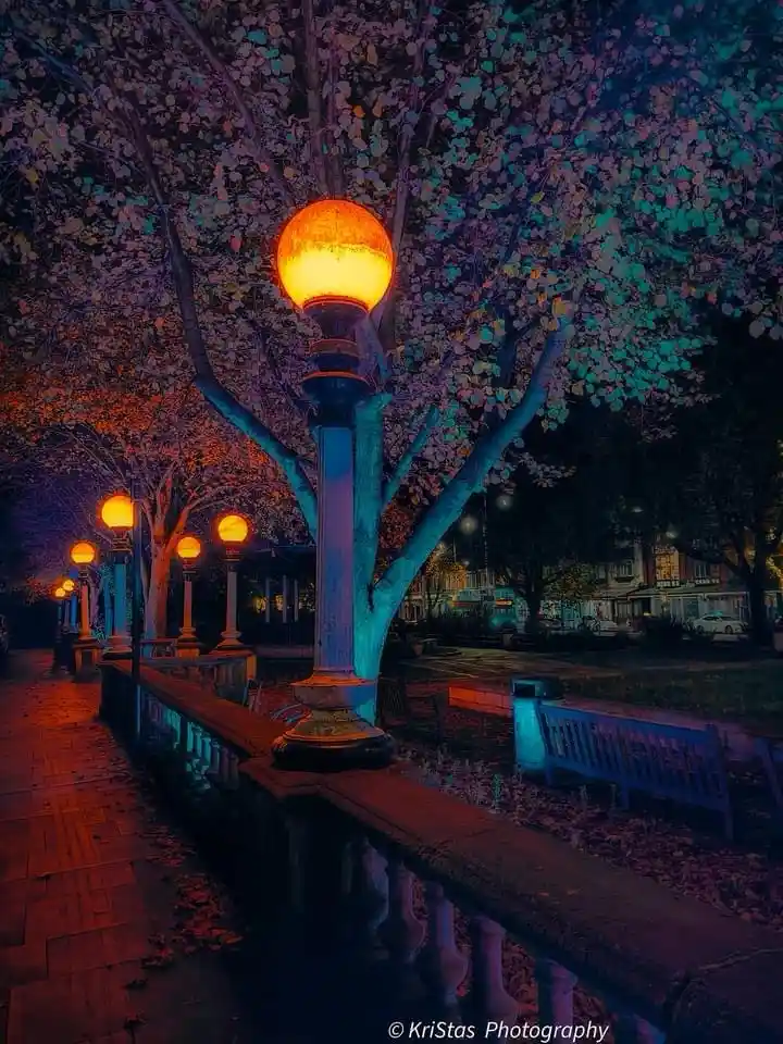 A nighttime photo of a row of glowing orange street lamps along a sidewalk, with trees and benches bathed in a surreal blue…