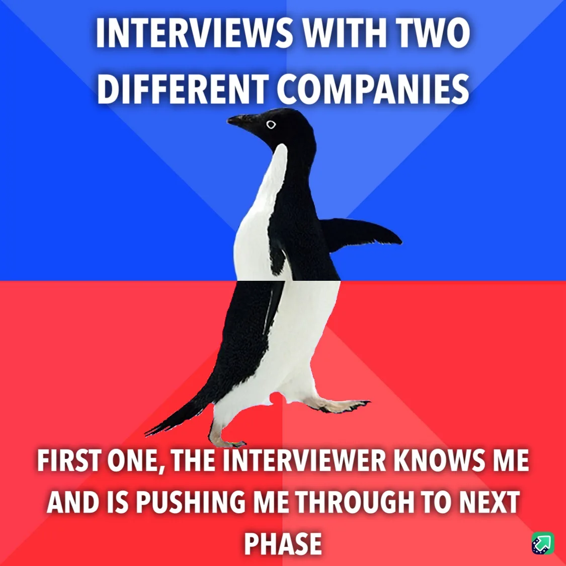 Exciting Updates on Interviews: What You Need to Know!