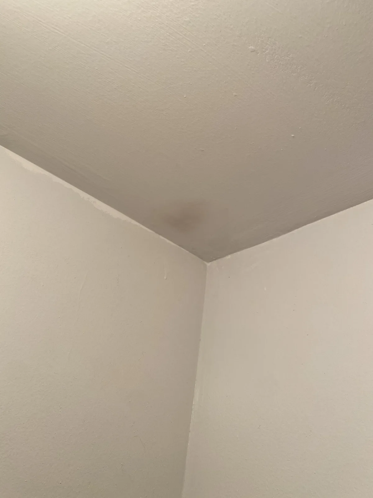 A Hidden Spot in the Closet