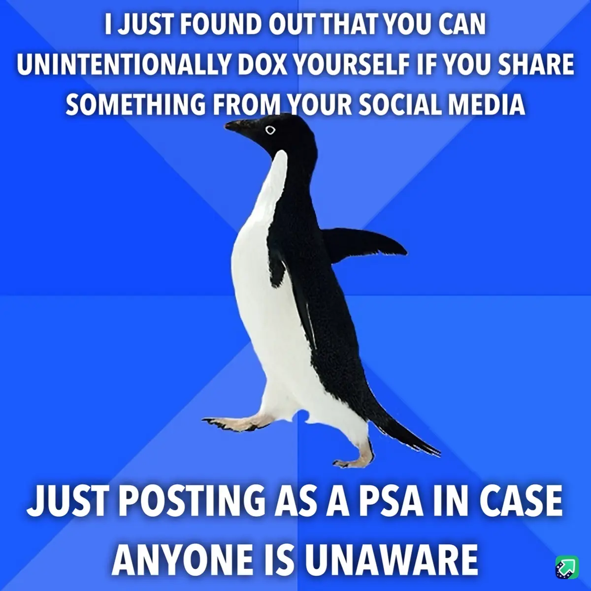 A black-and-white penguin stands against a blue geometric background with white text overlaid. The text reads: 'I JUST FOUND…