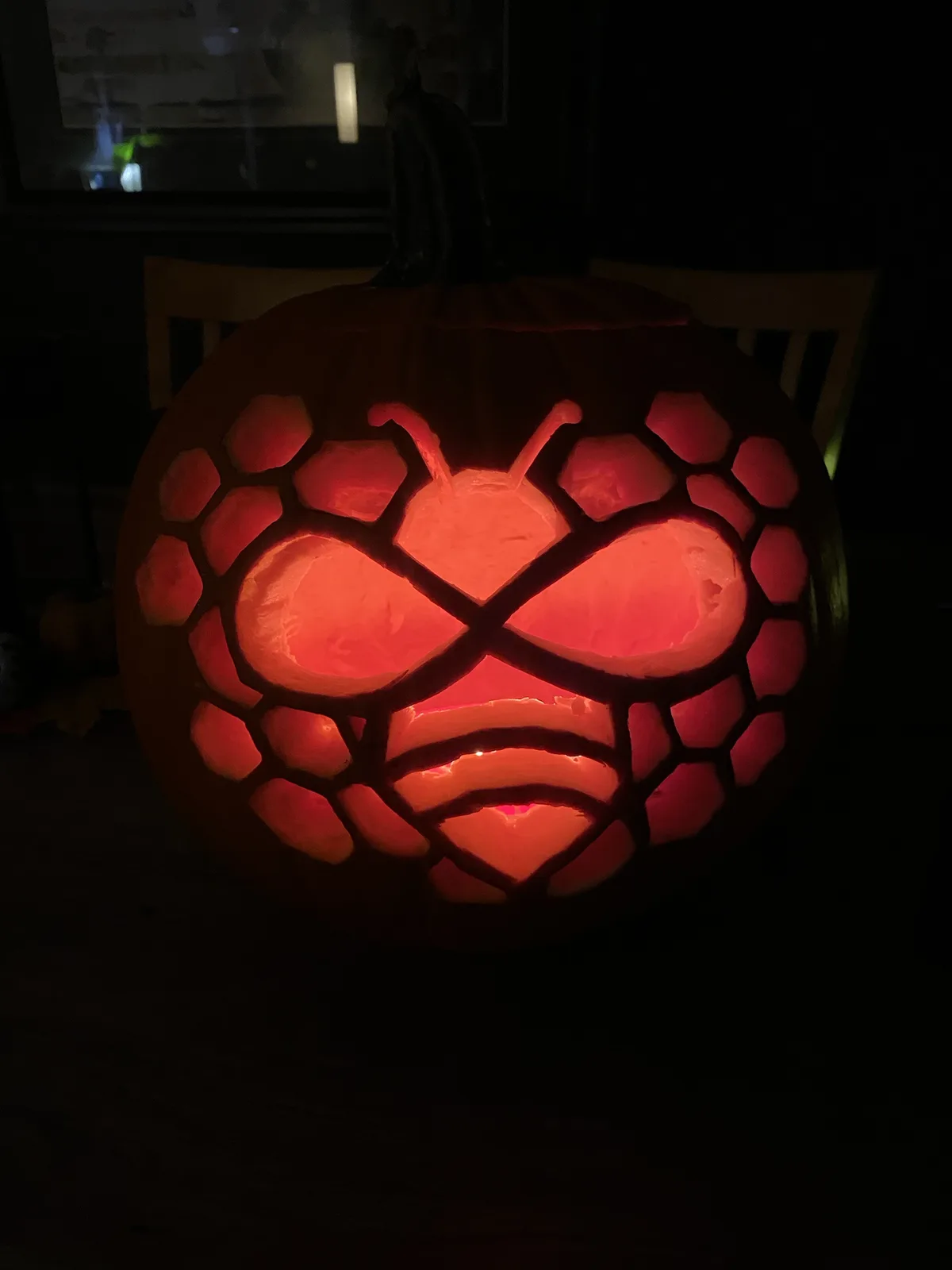 The Adorable Bumblebee and Its Honeycomb Pumpkin