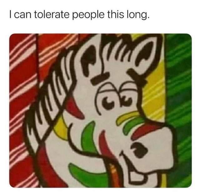 A cartoon drawing of a zebra's head with a tired, exasperated expression, set against a colorful striped background. The…