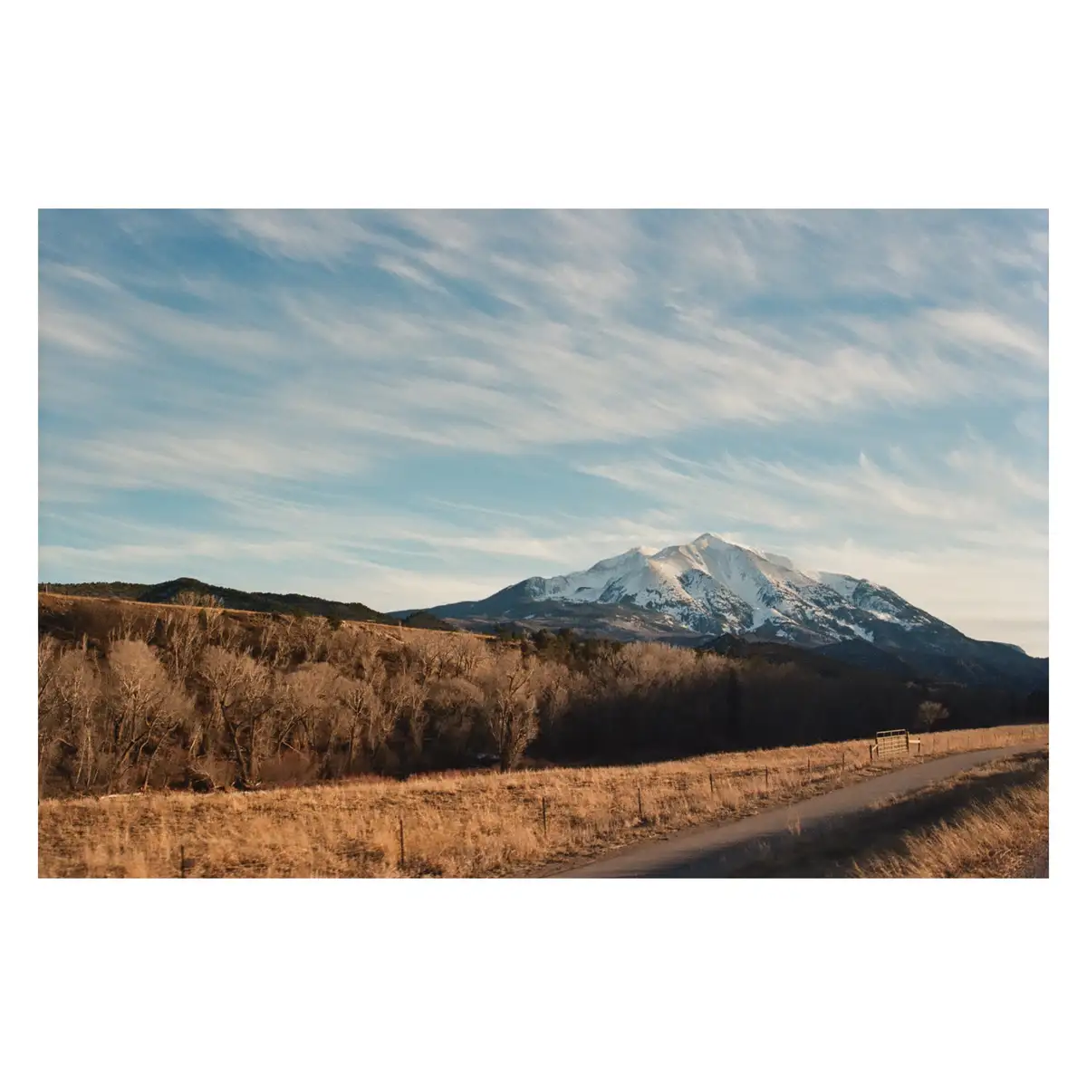 A scenic landscape photo shows a winding road through dry, golden-brown grasslands with bare trees, leading toward a distant…